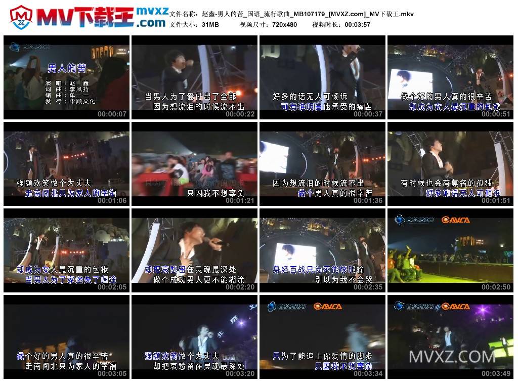 赵鑫-男人的苦_国语_流行歌曲_MB107179